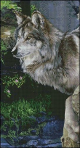 (image for) Beautiful Grey Wolf